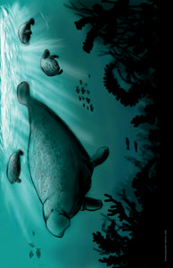 Aquatic Splendor "Manatees" Printable Poster