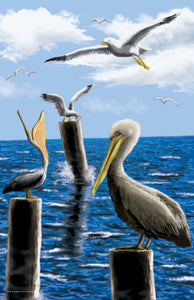 Aquatic Splendor "Pelicans" Printable Poster